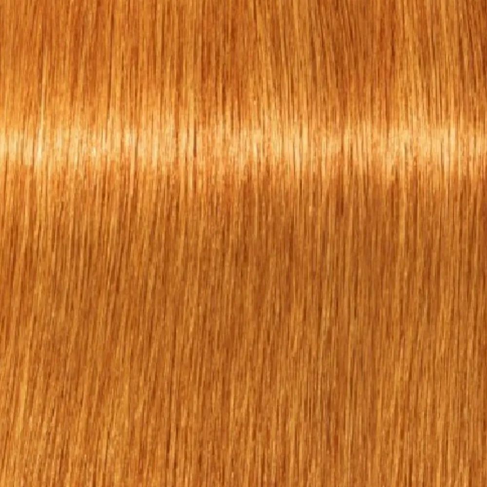 Coloração Igora Royal 9.7 Louro Extra Claro Cobre 60 g