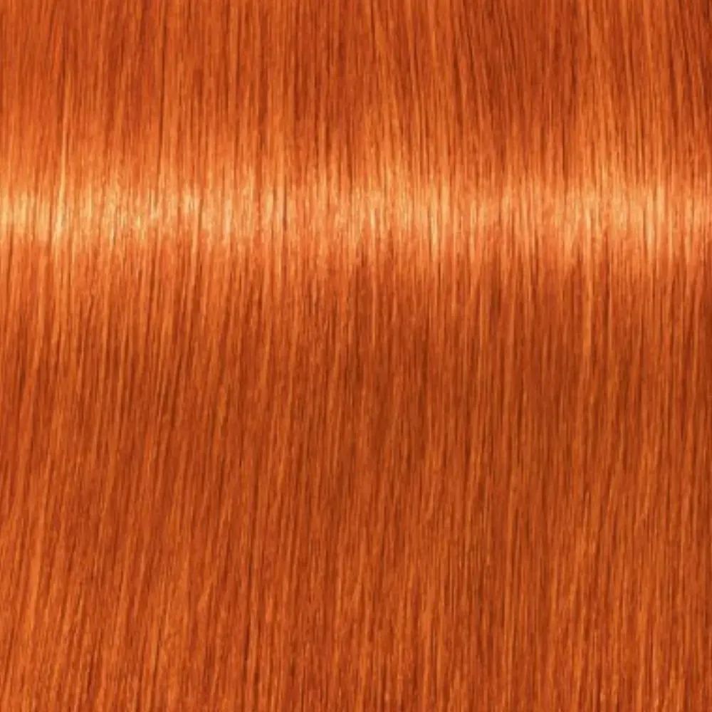Coloração Igora Royal 8.77 Louro Claro Cobre Extra 60 g