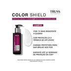 Leave In Truss Color Shield 200ml