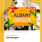 Sabonete Albany 85 g Perfume Natural Laranja