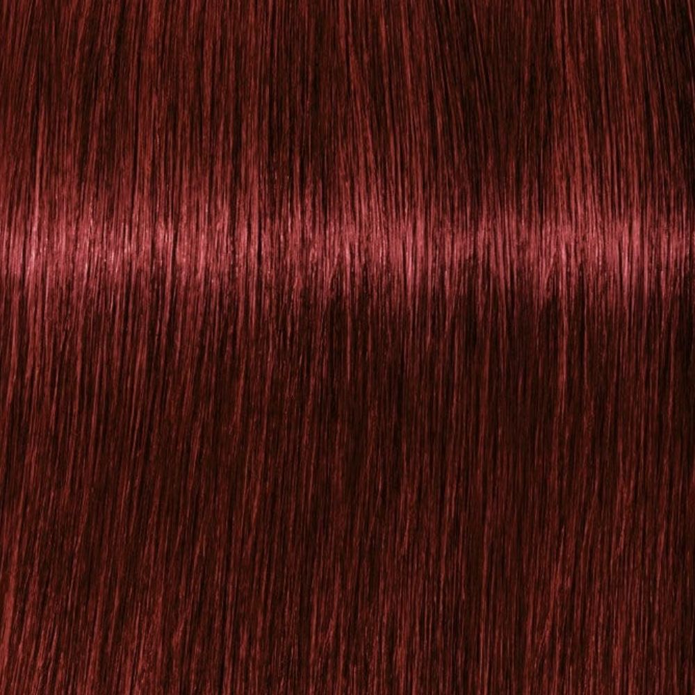 Coloração Igora Royal 5.88 Castanho Claro Vermelho Extra 60 g