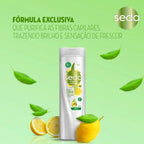 Shampoo Seda Recarga Natural Pureza Detox 325ml
