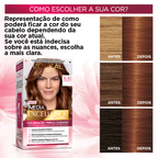 Coloração Permanente L'Oréal Imédia Excellence Kit Marrom 6.41