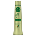 Condicionador Haskell Jaborandi 500ml